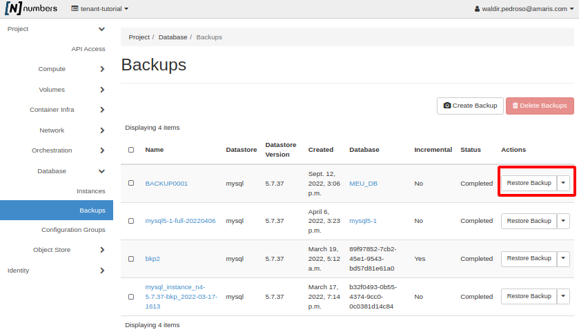 Painel da NNumbers Cloud, Banco de dados: na listagem dos backups criados anteriormente, localize o backup