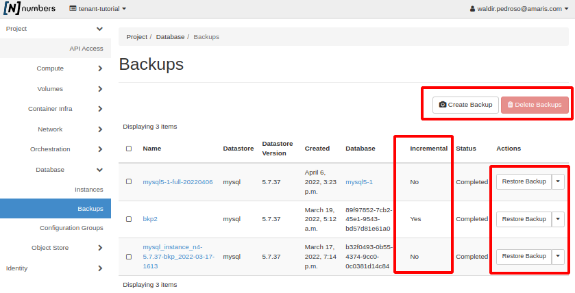 Painel da NNumbers Cloud, Banco de dados: será exibido a listagem dos backups realizados anteriormente