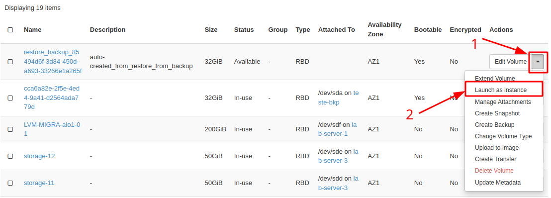 Painel da NNumbers Cloud, Volumes: localize o volume restaurado na lista
