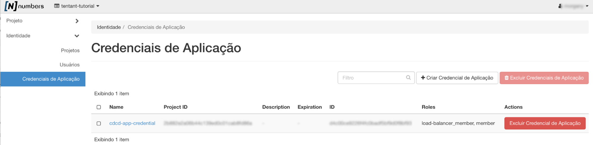 Painel da NNumbers Cloud, Credenciais de aplicação: para excluir uma credencial basta clicar no botão ao lado