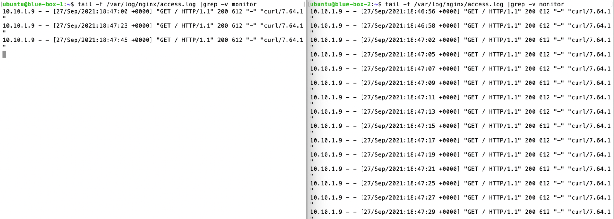 Painel da NNumbers Cloud, Load balancers: observe nos logs que mais requisições são realizadas em blue-box-2