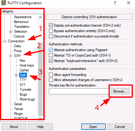 Painel da NNumbers Cloud, Acesso SSH: > 4. Clicar em Browse… e selecionar a chave