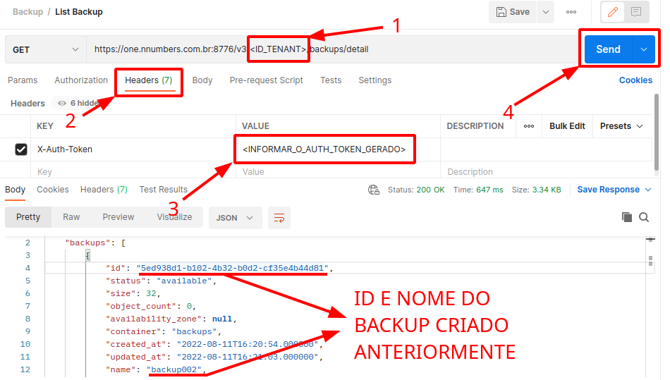 Painel da NNumbers Cloud, Volumes: para listar os backups existentes, na scratch pad abra o item List Backup