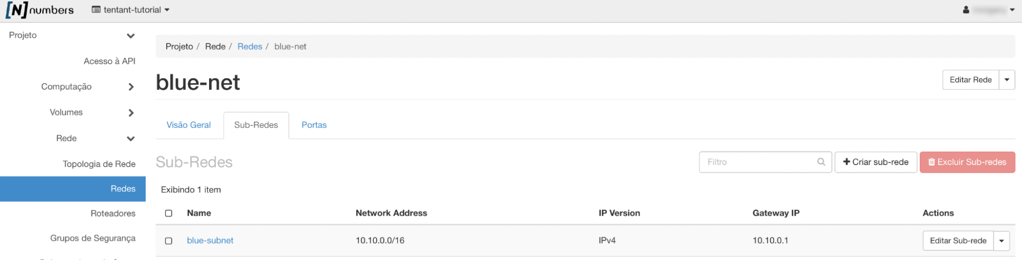 Painel da NNumbers Cloud, Redes: o botão Criar sub-rede permite criar sub-redes posteriormente ao momento