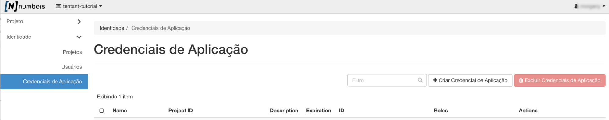 Painel da NNumbers Cloud, Credenciais de aplicação: para criar uma credencial de aplicação vá no menu