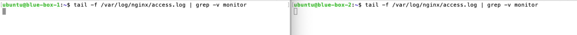 NNumbers Cloud console, Load balancers: note in the blue-box-1 and blue-box-2 web server logs that the