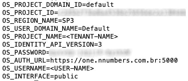 Terminal showing the environment variables available after running the command