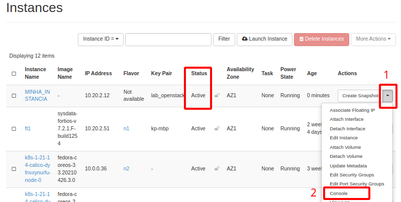 NNumbers Cloud console, Compute instances: the Status column reports the instance's state