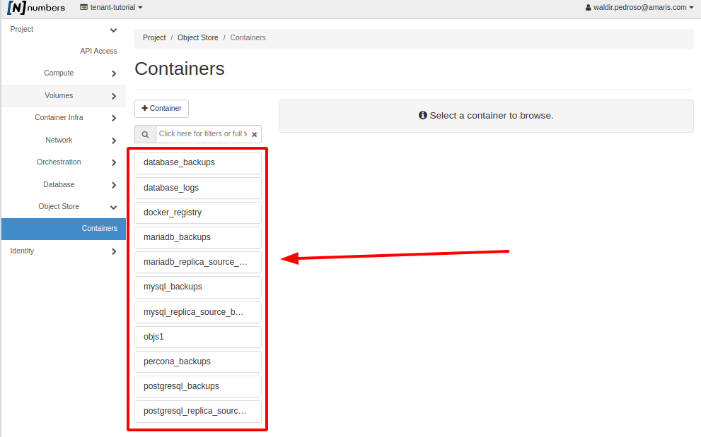 NNumbers Cloud console, Object Store: once created, it appears in the list