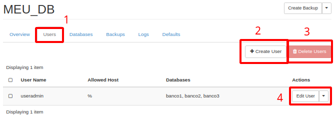 NNumbers Cloud console, Databases: inside the instance, in the top menu click Users